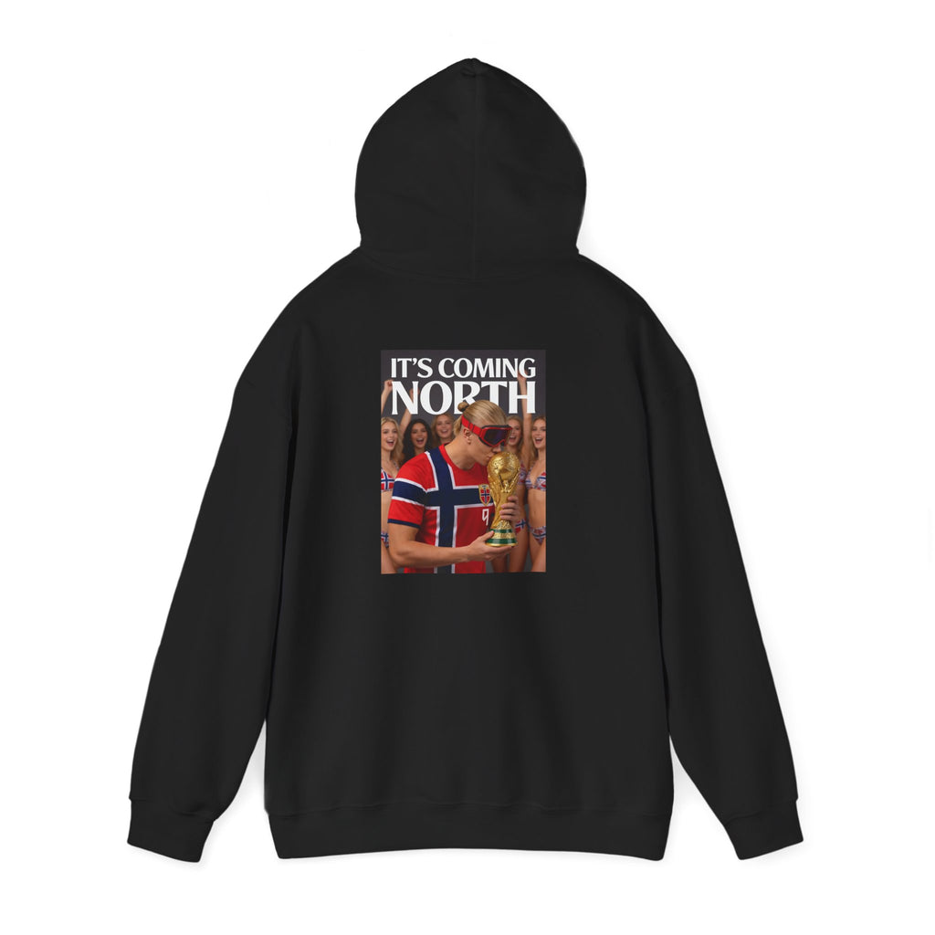 Norway Football Fan Hoodie – "It’s Coming North" Back Print Hooded Sweatshirt