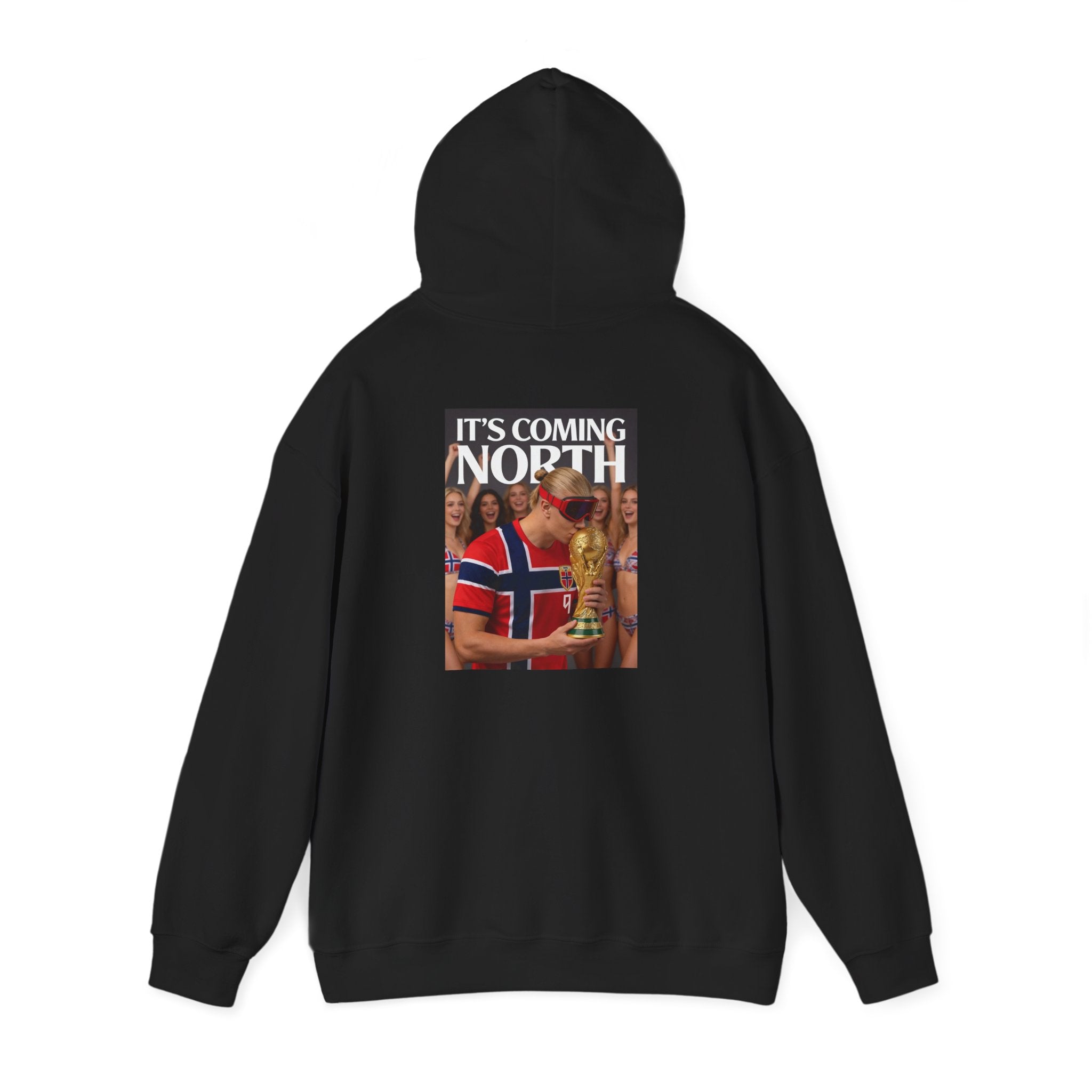 Norway Football Fan Hoodie – "It’s Coming North" Back Print Hooded Sweatshirt