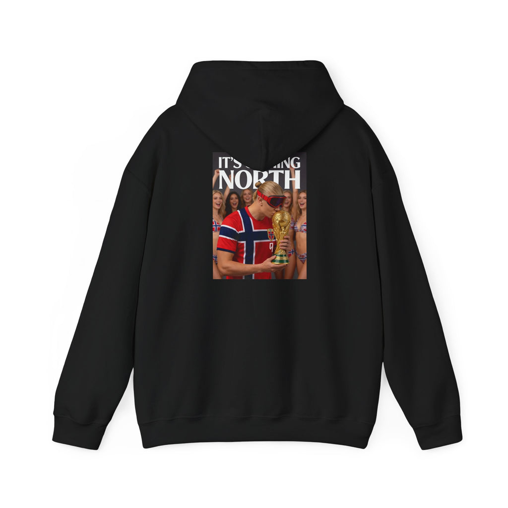 Norway Football Fan Hoodie – "It’s Coming North" Back Print Hooded Sweatshirt
