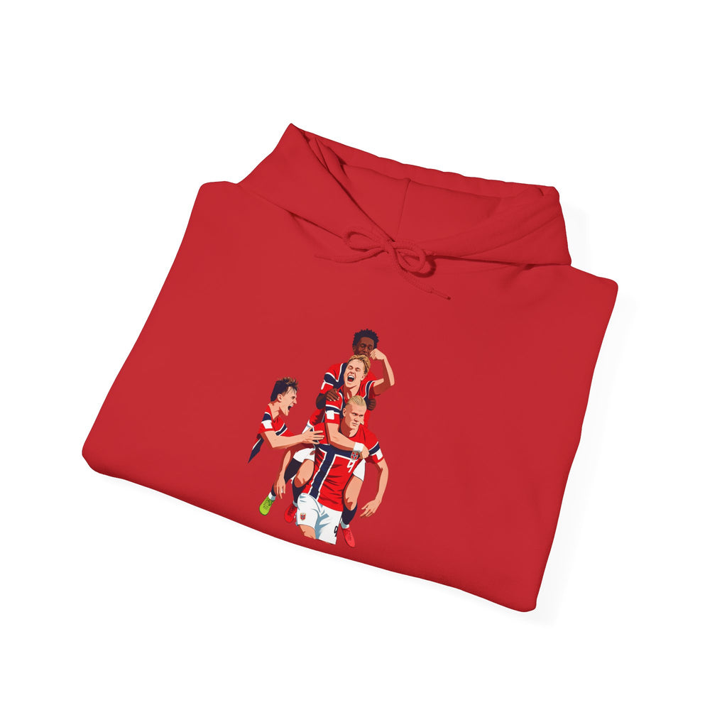 NORWAY VICTORY hoodie