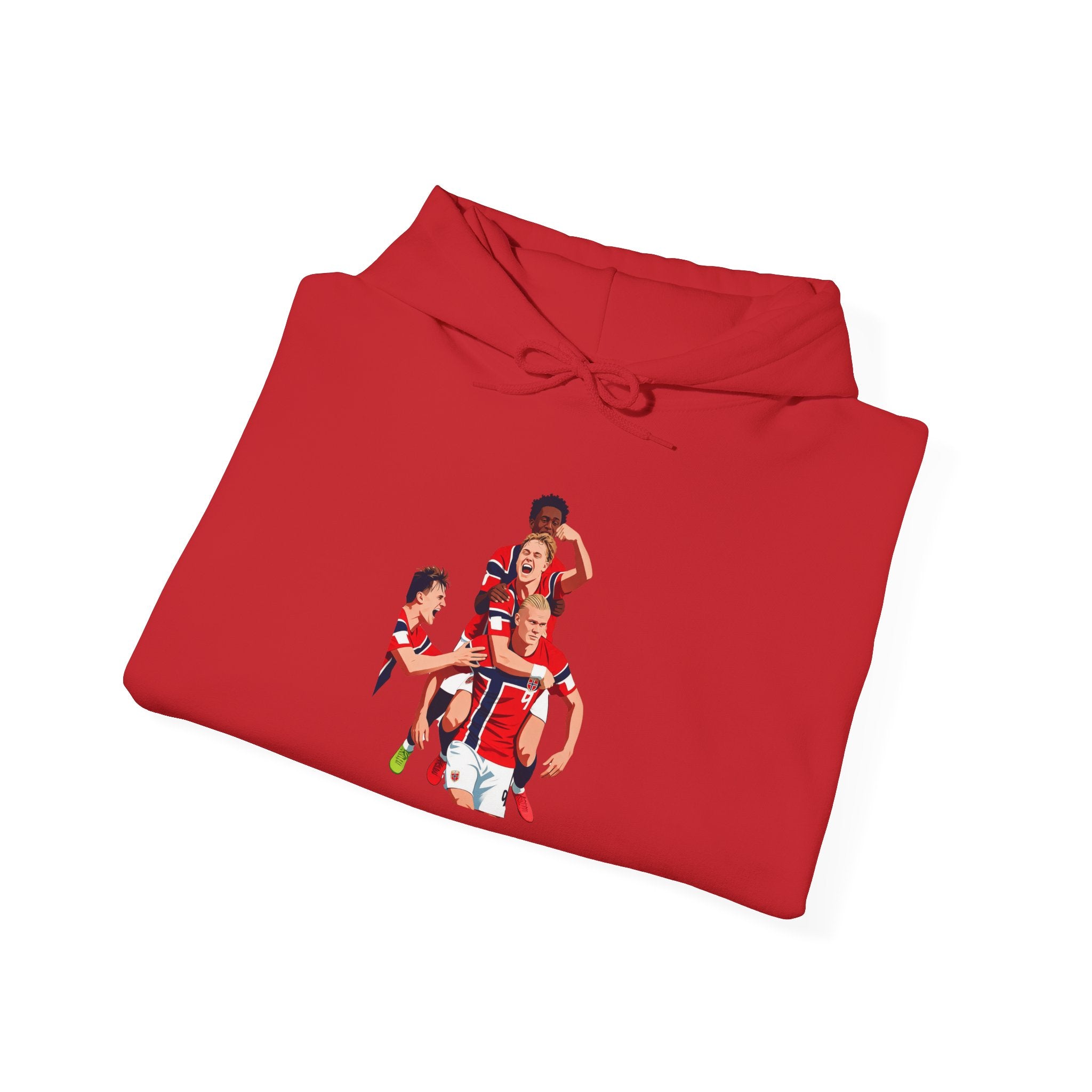 NORWAY VICTORY hoodie