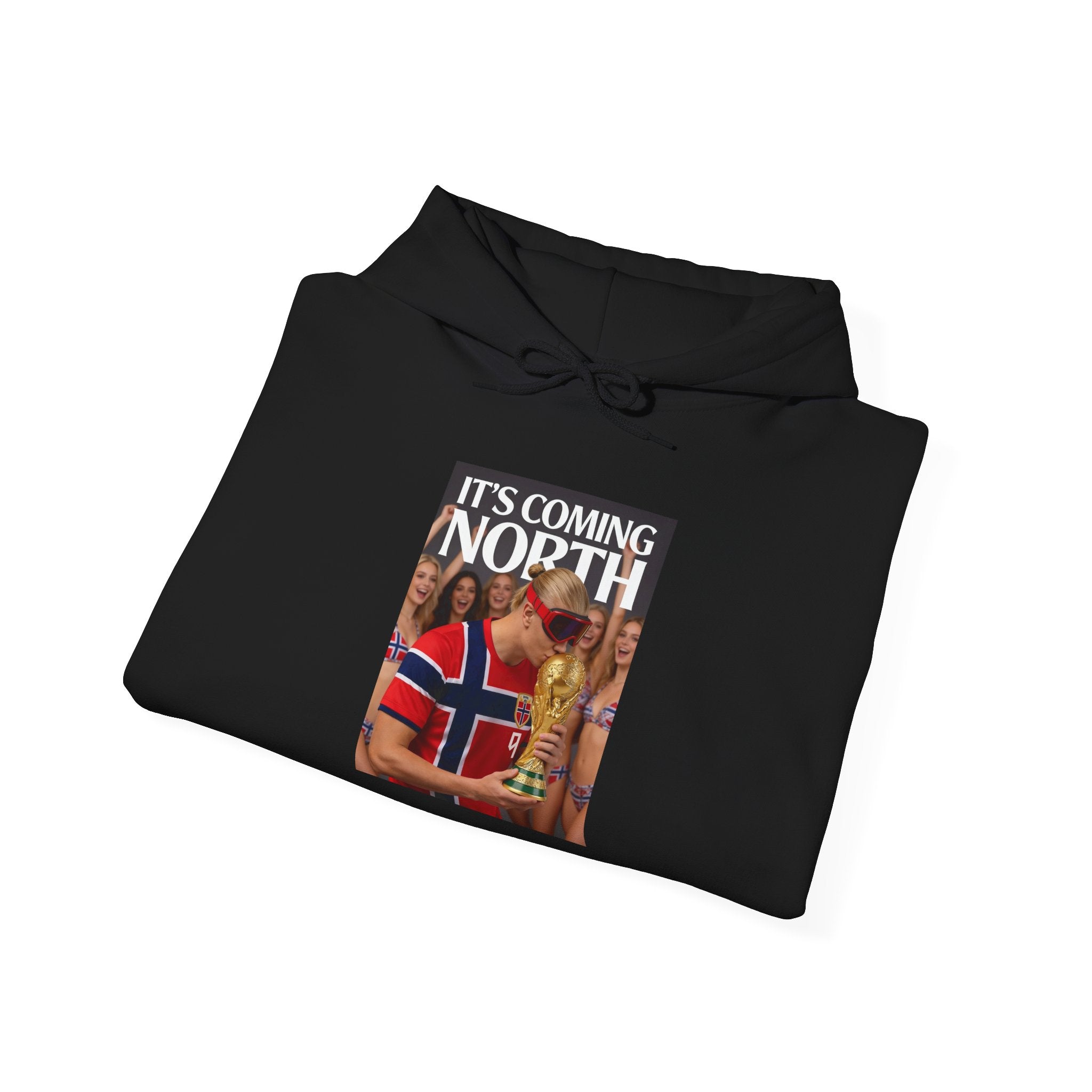 Norway Football Fan Hoodie – "It’s Coming North" Hooded Sweatshirt