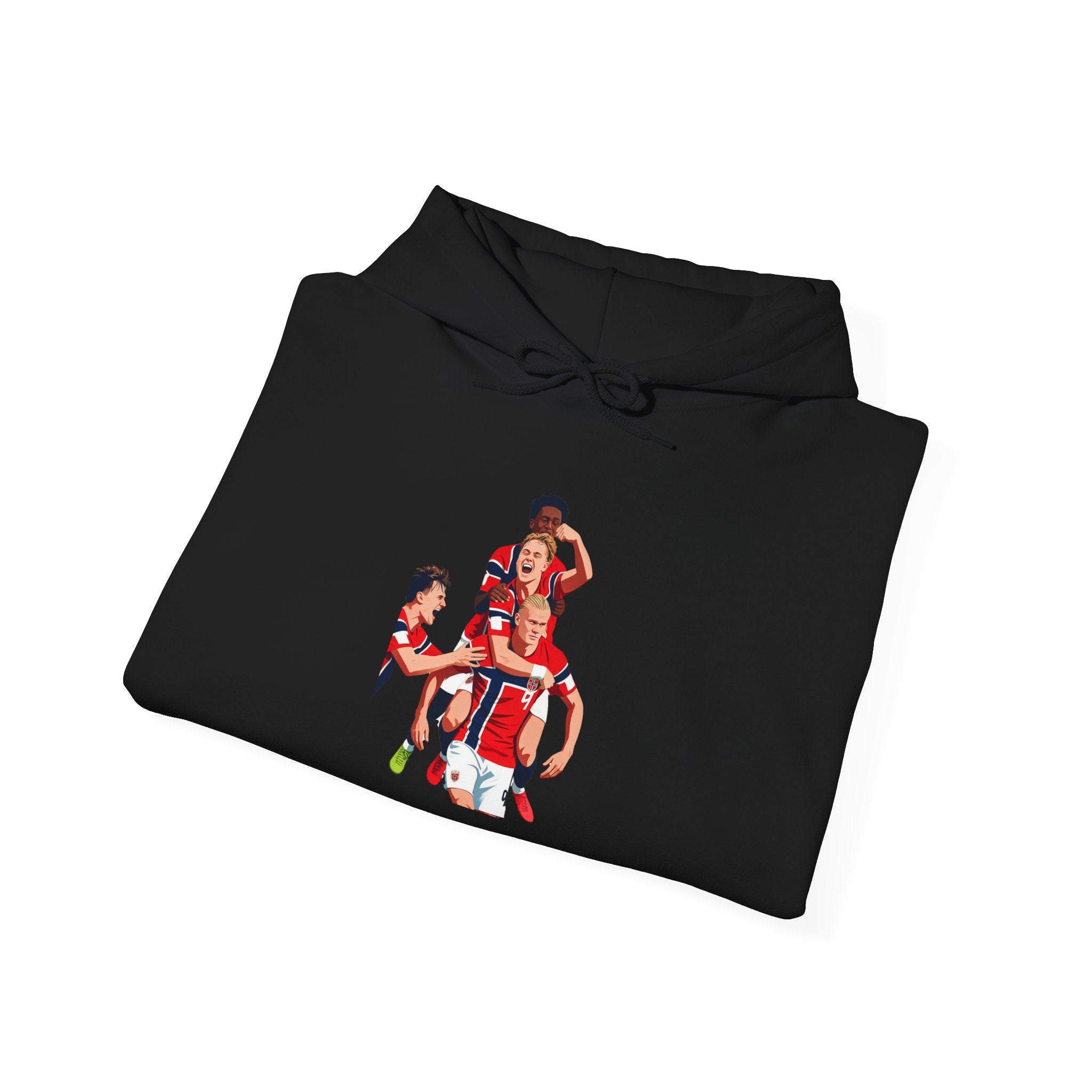 NORWAY VICTORY hoodie