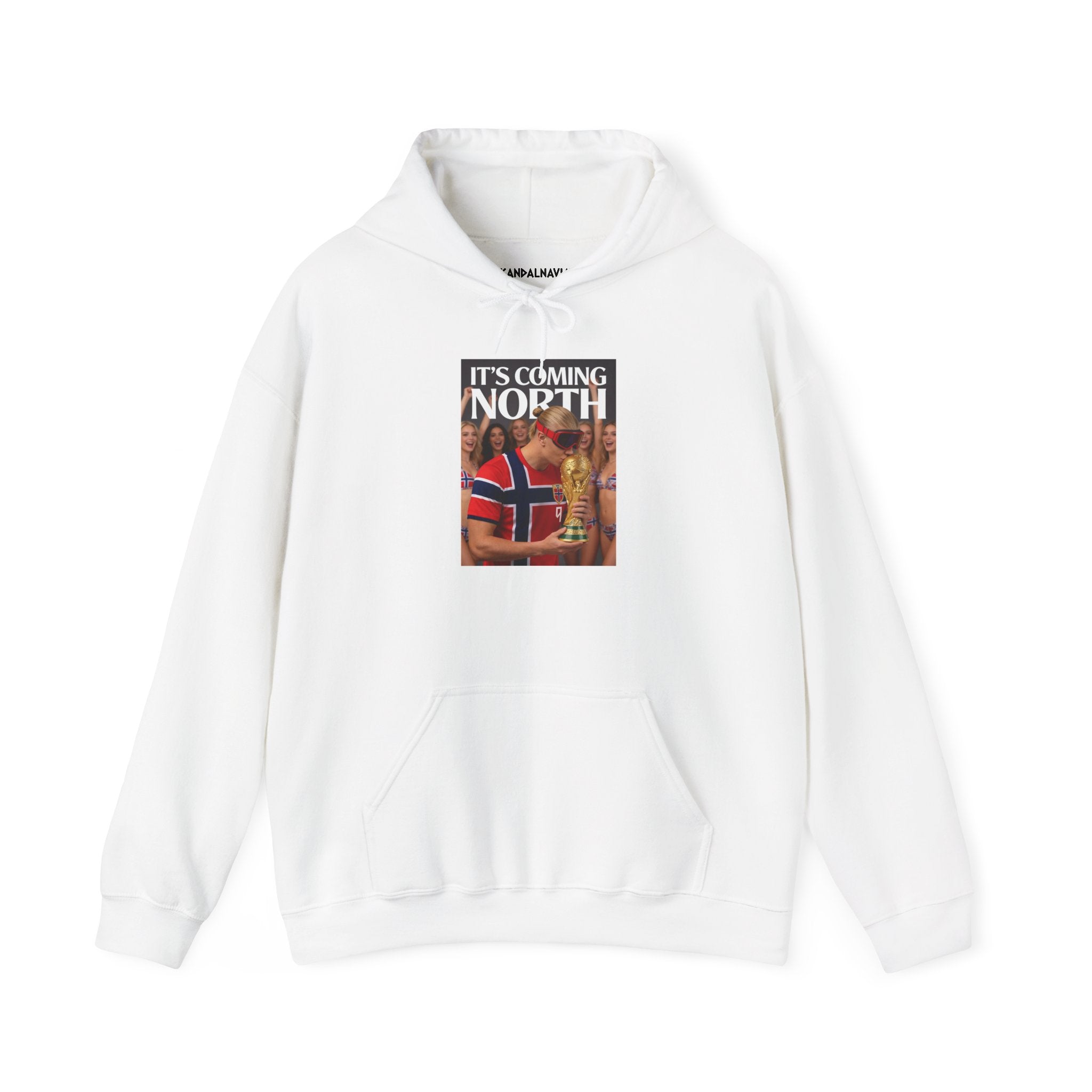 Norway Football Fan Hoodie – "It’s Coming North" Hooded Sweatshirt