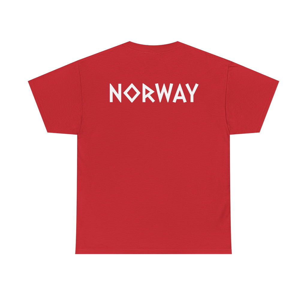 BIG IN BRAZIL tee